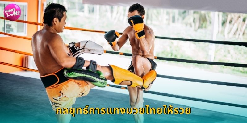 กลยุทธ์การแทงมวยไทยให้รวย